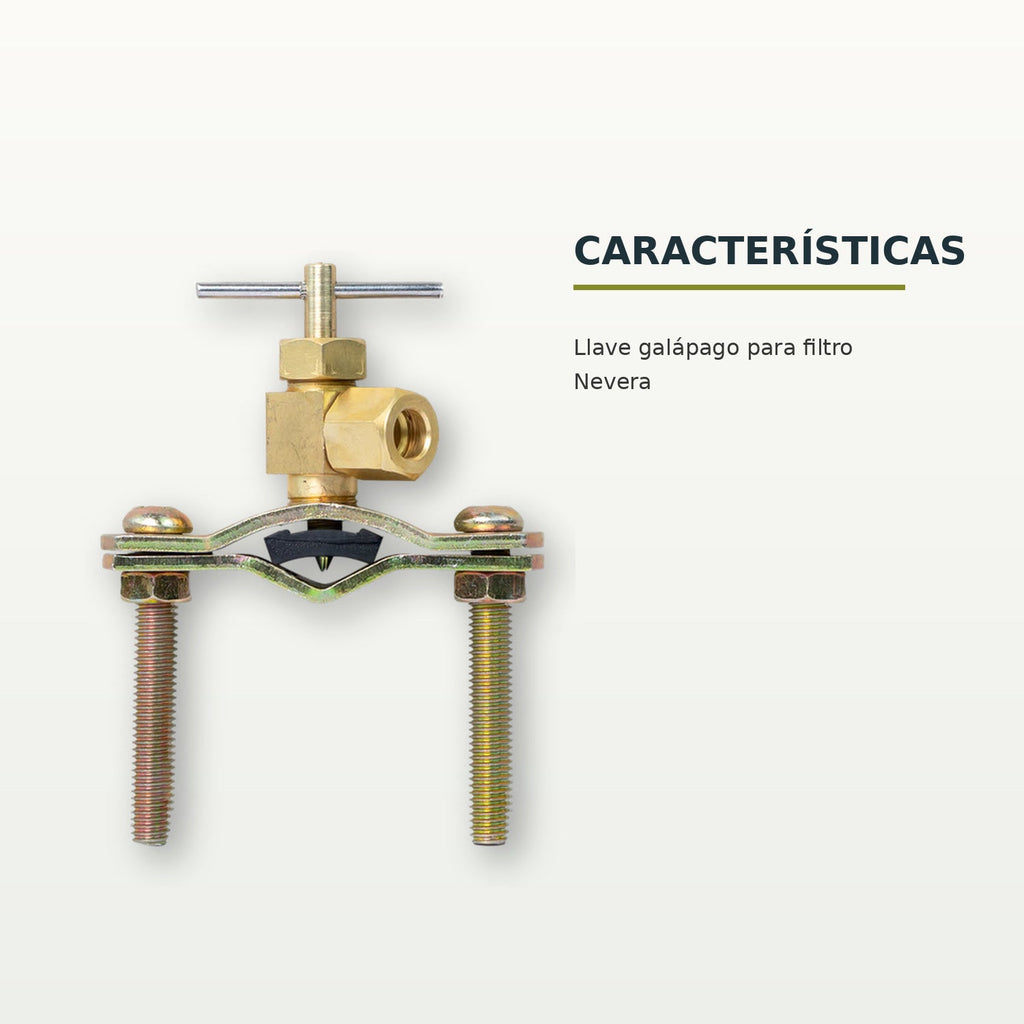 Características confirmadas del producto