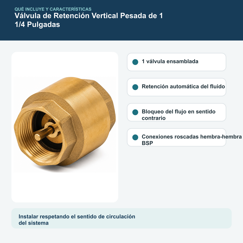Contenido y características del válvula de retención vertical pesada de 1 1/4 pulgadas