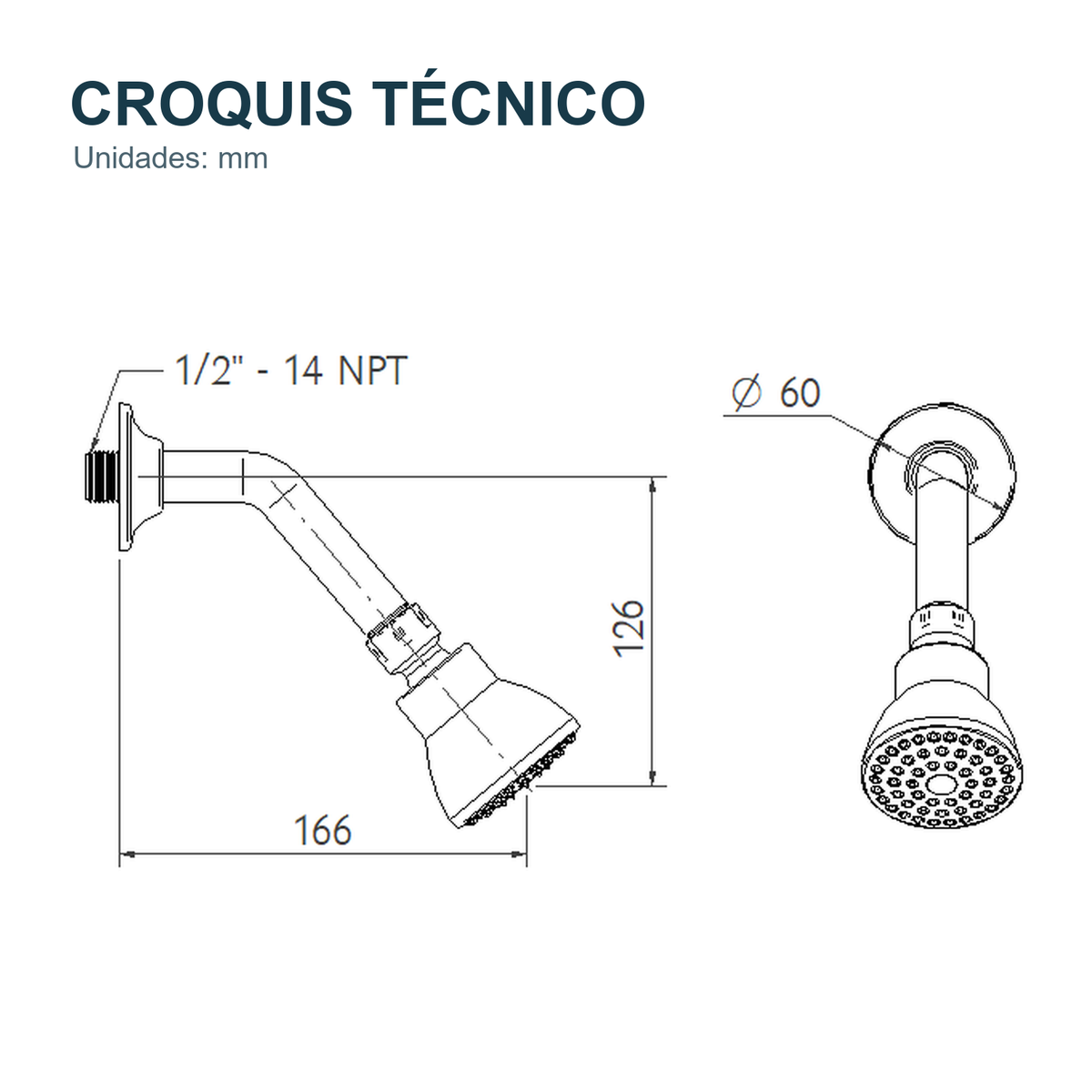 Croquis técnico de Regadera para ducha Aqua cromada
