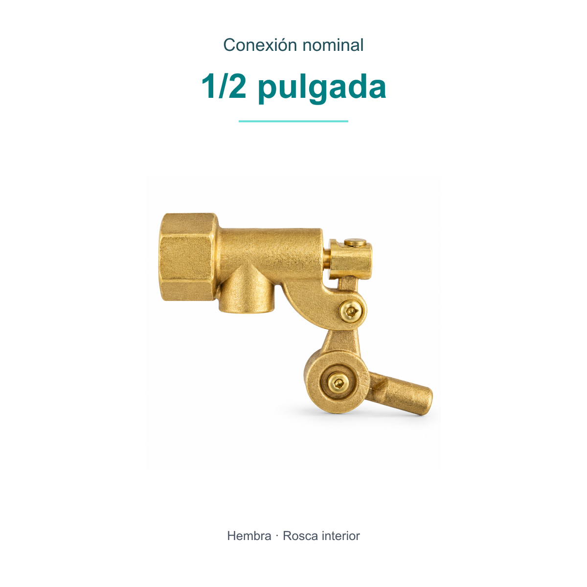 Conexión nominal: 1/2 pulgada. Hembra · Rosca interior.