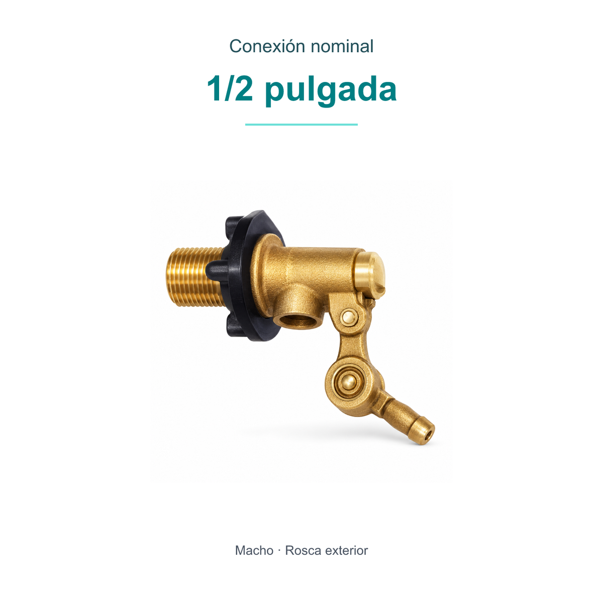 Conexión nominal: 1/2 pulgada. Macho · Rosca exterior.