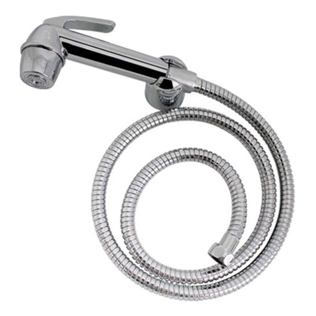 Ducha Bidet Abs Cromada Con Manguera Color Plateado