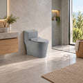Sanitario One Piece S-Trap 300 Mm Gris 68 X 37,5 X 63 Cm